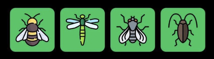 FLIES Daily Combo 27 June 2025